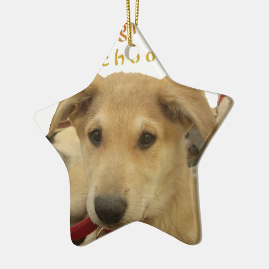 "Das Leben ist die gründlichste Schule" Hundekunst Keramik Ornament (Links)