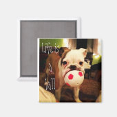 Das Leben ist ein Ball! Magnet (Vorderseite/Rückseite)