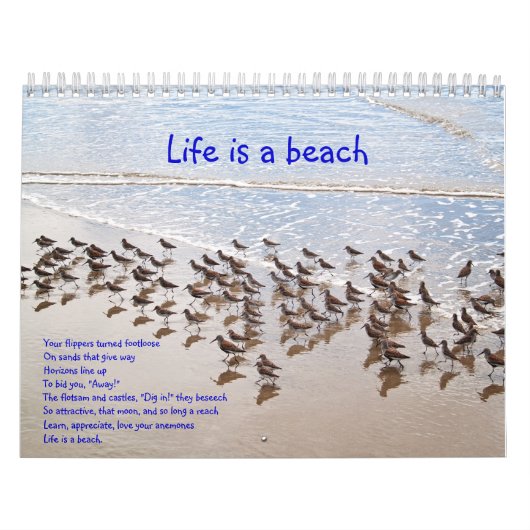 Das Leben ist ein Beach Calandar Kalender (Titelbild)