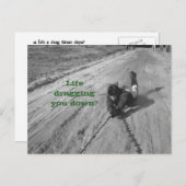 Das Leben ist ein schlechtes Postkartenspiel Postkarte (Vorne/Hinten)