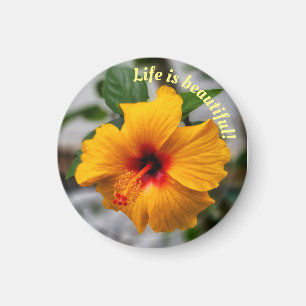 Das Leben ist ein schöner gelber Hibiskus Magnet