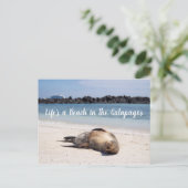 Das Leben ist ein Strand in der Galapagos Postkart Postkarte (Stehend Vorderseite)