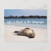 Das Leben ist ein Strand in der Galapagos Postkart Postkarte (Vorderseite)