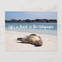 Das Leben ist ein Strand in der Galapagos Postkart Postkarte