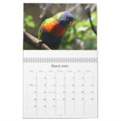 Das Leben ist ein Zoo in einem Dschungel-Kalender Kalender (Mär 2026)