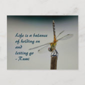 Das Leben ist eine Balance Zitat Dragonfly Fotogra Postkarte (Vorderseite)
