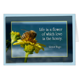 Das Leben ist eine Blume