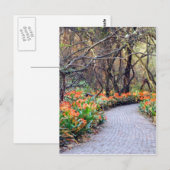 Das Leben ist eine Reise Postkarte (Vorne/Hinten)