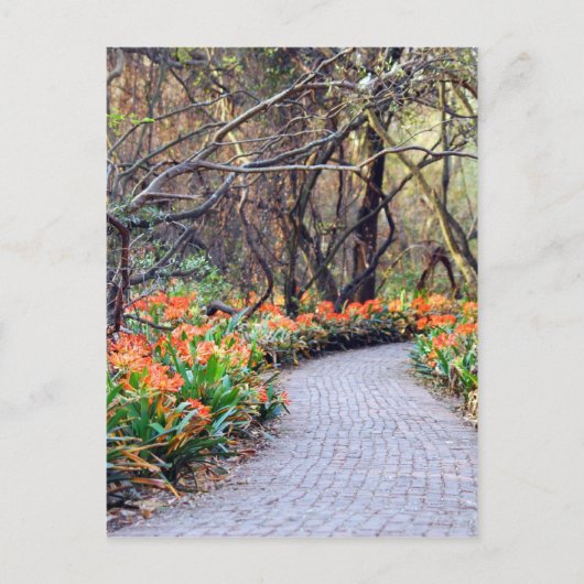 Das Leben ist eine Reise Postkarte (Vorderseite)