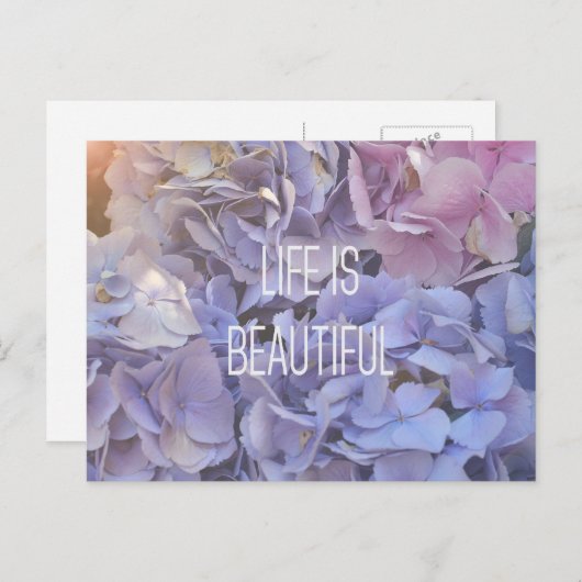 Das Leben ist eine schöne Hydrangea Postkarte (Vorne/Hinten)