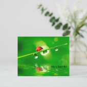 Das Leben ist eine schöne Motivation Postkarte (Stehend Vorderseite)