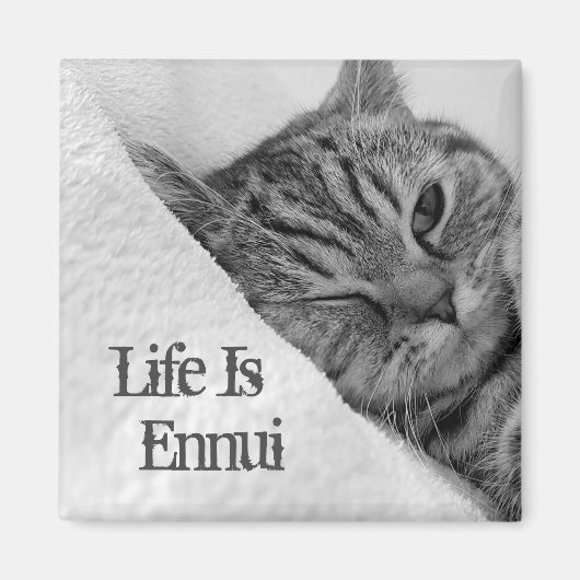 Das Leben ist Ennui, Tabby Cat Lying Down Magnet (Vorne)