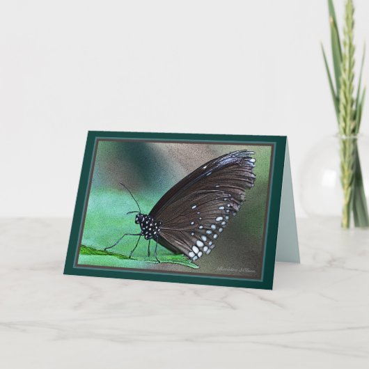 *Das Leben ist ewig: Eine schöne Metapher für den Karte (Vorderseite)