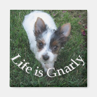 Das Leben ist Gnarly Magnet