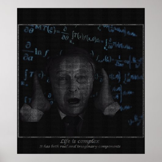 Das Leben ist komplex Poster (Vorne)