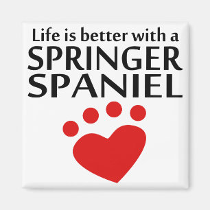 Das Leben ist mit einem SpringerSpaniel besser Magnet