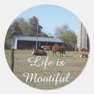 Das Leben ist motivierte Stickers