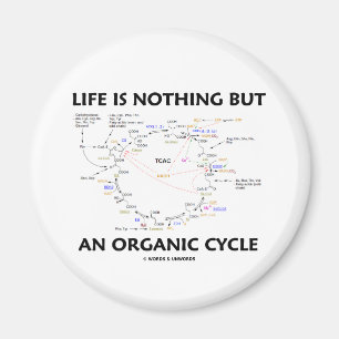 Das Leben ist nichts aber ein Bio Zyklus (Krebs Magnet