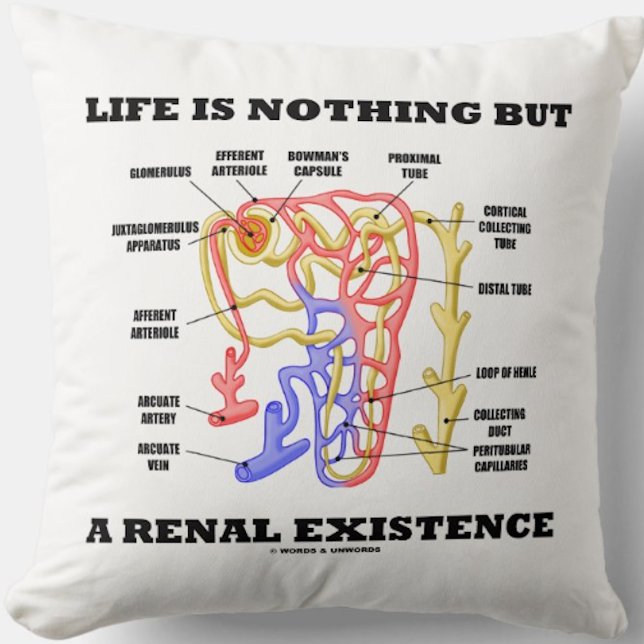 Das Leben ist nichts aber ein Nierenbestehen Kissen (Kidney's nephron throw pillow with the nephrology sentiment "Life Is Nothing But A Renal Existence")