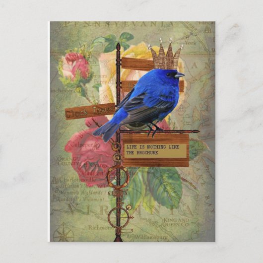 Das Leben ist nichts anderes als die Broschüre Pos Postkarte (Vorderseite)