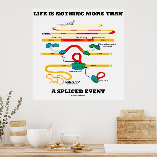 Das Leben ist nichts anderes als ein geteilte Erei Poster (Küche)