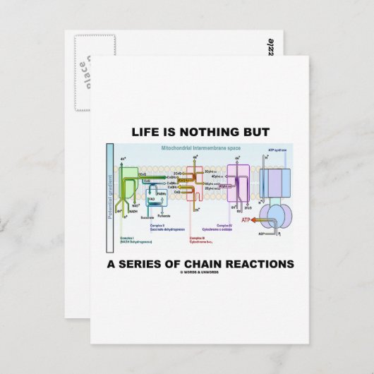 Das Leben ist nichts anderes als eine Reihe von Ke Postkarte (Vorne/Hinten)