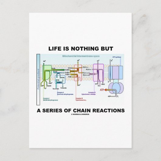 Das Leben ist nichts anderes als eine Reihe von Ke Postkarte (Vorderseite)