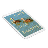 Das Leben ist nur Ducky Mottles Ducks Magnet (Rechte Seite)