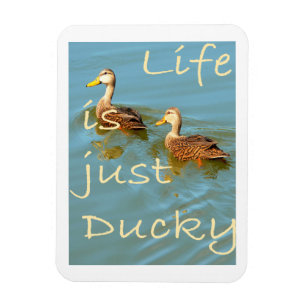 Das Leben ist nur Ducky Mottles Ducks Magnet