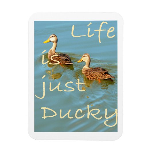 Das Leben ist nur Ducky Mottles Ducks Magnet (Vertikal)