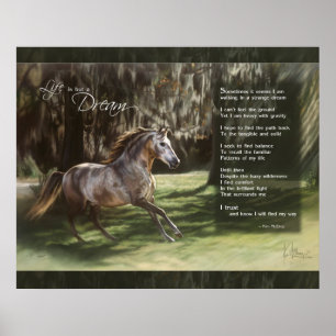 Das Leben ist nur ein Traum Poster