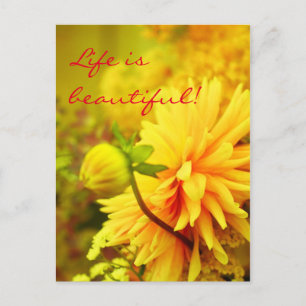 Das Leben ist schön Golden Yellow Dahlias Postkarte