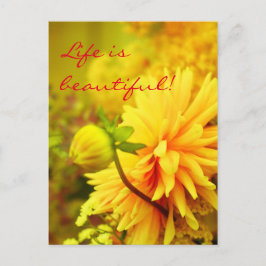 Das Leben ist schön | Golden Yellow Dahlias Postkarte