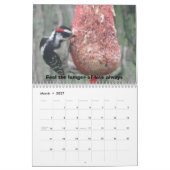 Das Leben ist schön Kalender (Mär 2027)