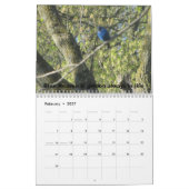 Das Leben ist schön Kalender (Feb 2027)