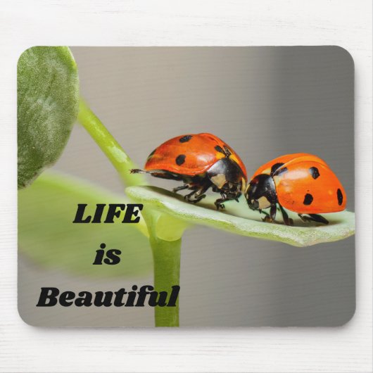 Das Leben ist schön - Ladybug Mousepad (Vorne)