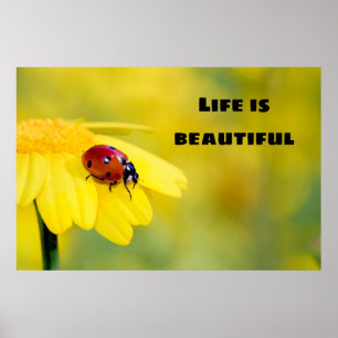 Das Leben ist schön - Ladybug Poster