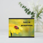 Das Leben ist schön - Ladybug Postkarte (Stehend Vorderseite)