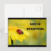 Das Leben ist schön - Ladybug Postkarte (Vorne/Hinten)
