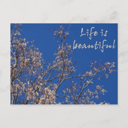 Das Leben ist schön Postkarte (Vorderseite)