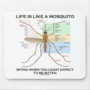 Das Leben ist wie ein beißender Moskito, wenn Mousepad