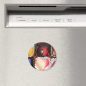 Das Leben ist wie eine Schachtel Pralinen Magnet (In Situ (Geschirrspüler))