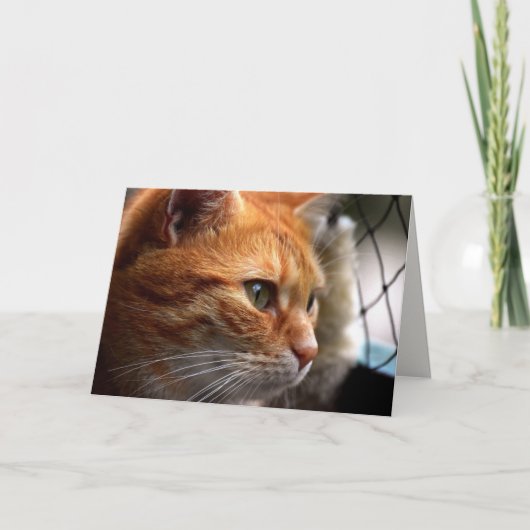 Das Leben Sind zum Kotzen Ermutigung, ich bin hier Karte (Vorderseite)