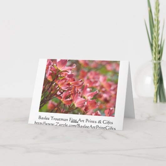 Das Leben und das Leben könnten nicht besser sein! Ankündigung (Rückseite)