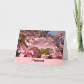 Das Leben und das Leben könnten nicht besser sein! Ankündigung (Vorderseite)