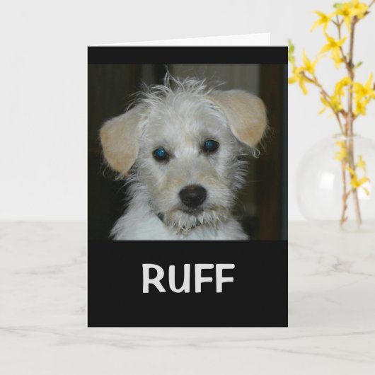 Das Leben würde KAMPFLÄUFER ohne einen Freund wie Karte (Gelbe Blume)