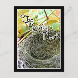 Leeres Nest Geschenke Zazzle De