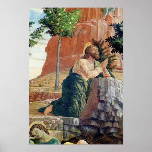 Das Leid im Garten Poster (Vorne)