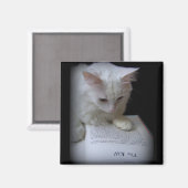 Das Leid Magnet (Vorderseite/Rückseite)