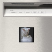 Das Leid Magnet (In Situ (Geschirrspüler))